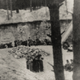 A Ponary execution pit in which Holocaust victims were shot, July 1941. (Source: Chronicles of the Vilna Ghetto)